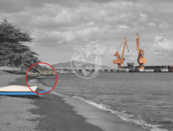 Waspada Penampakan Buaya di Pantai Firdaus Kema, Samping PLTU Minahasa Utara